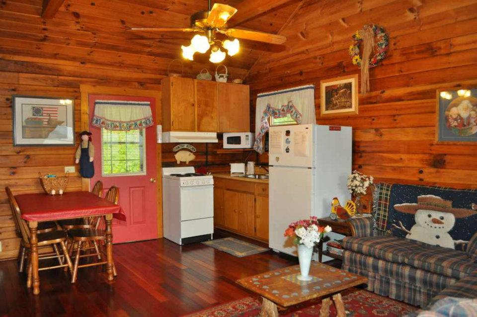 Cabin 1 Kitchen