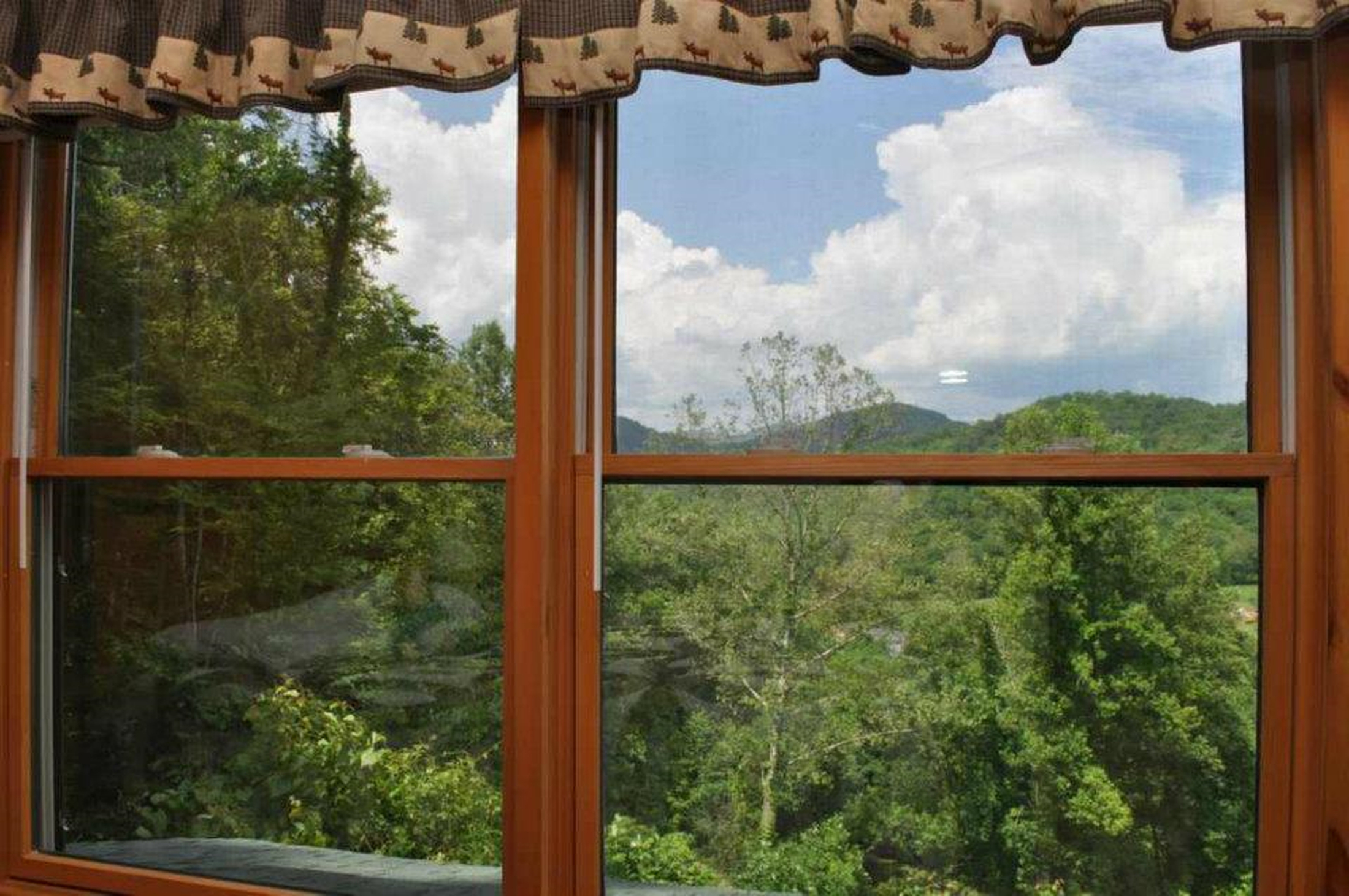 Cabin 4 Window View