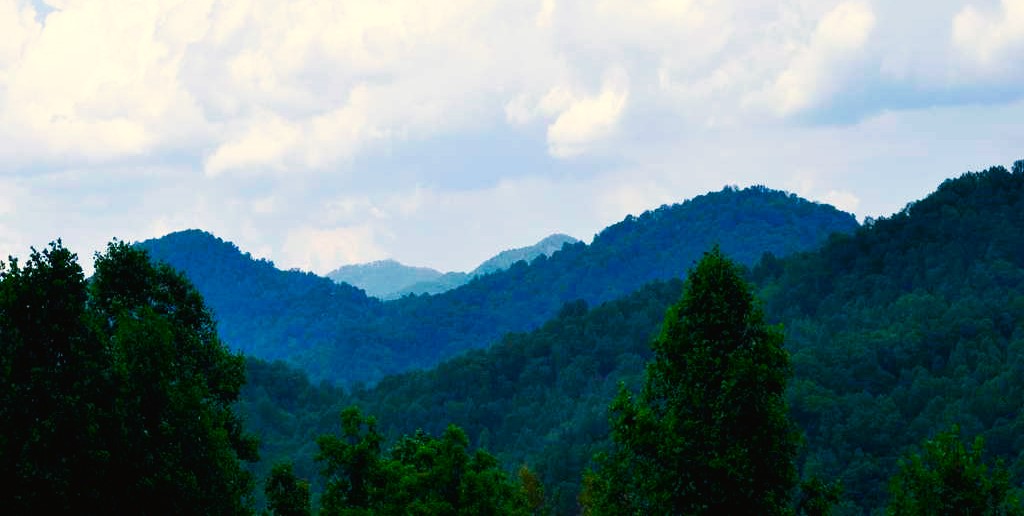 Deer Country View