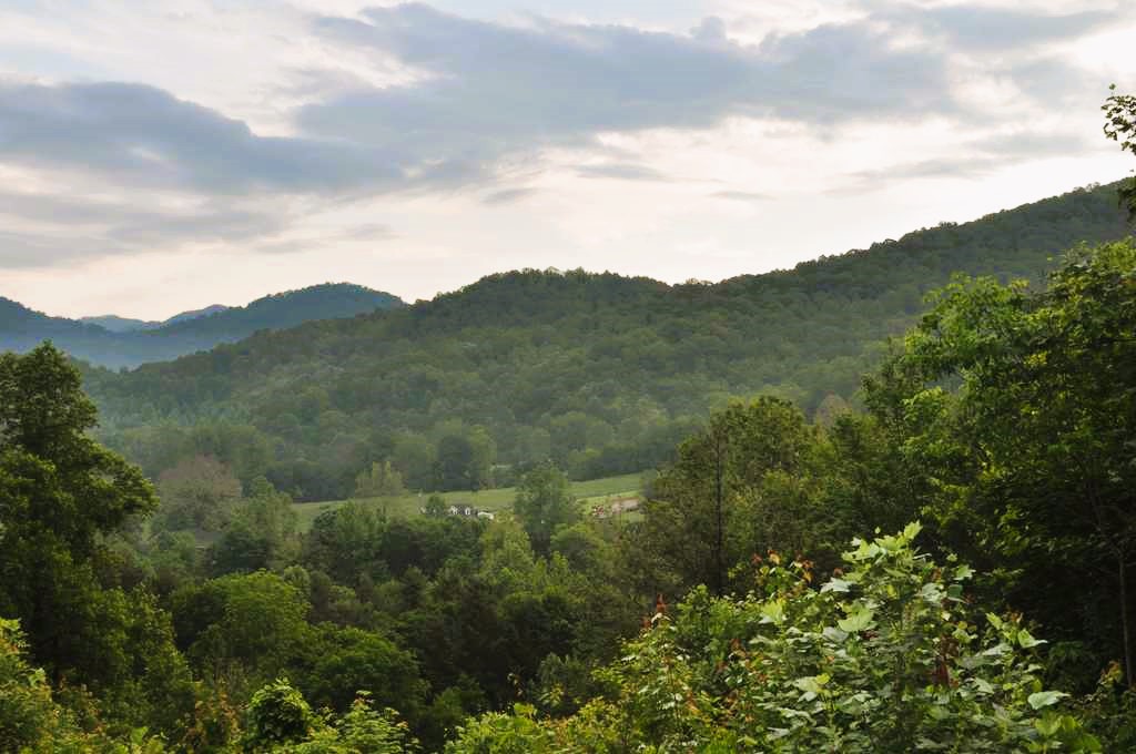 Deer Country View