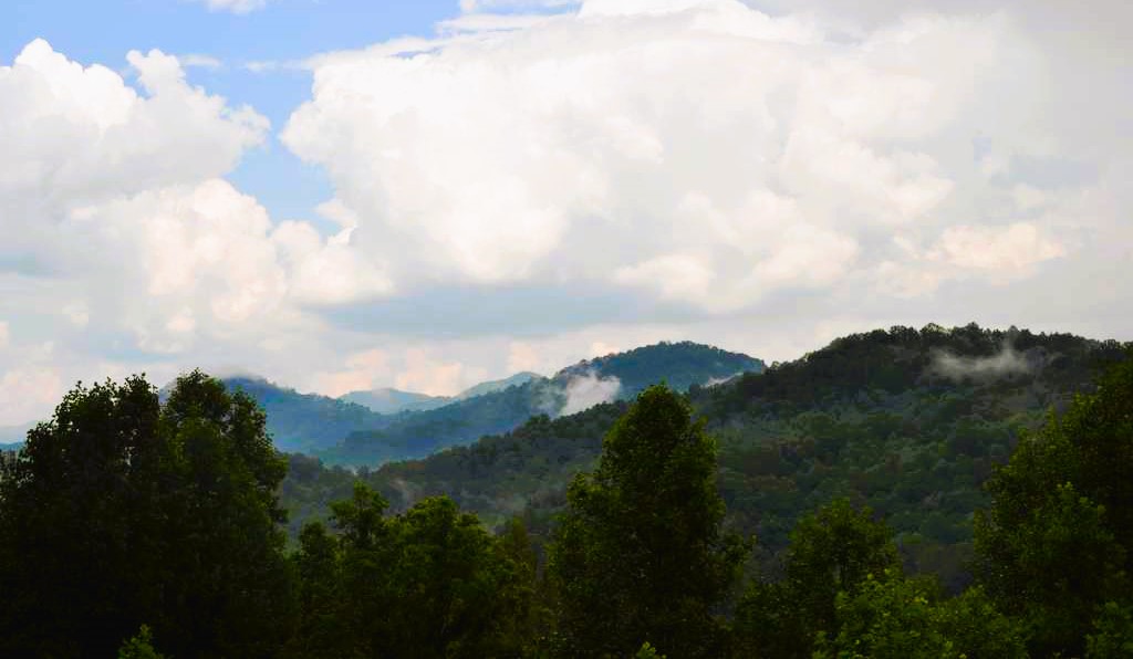 Deer Country View
