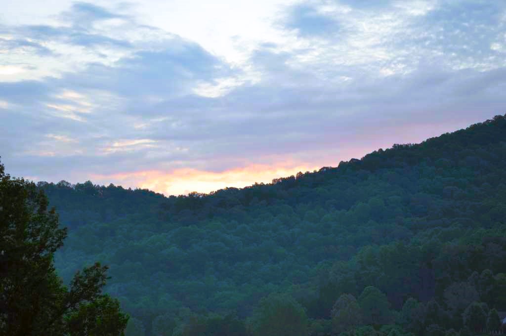 Deer Country View