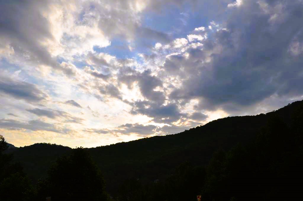 Deer Country View