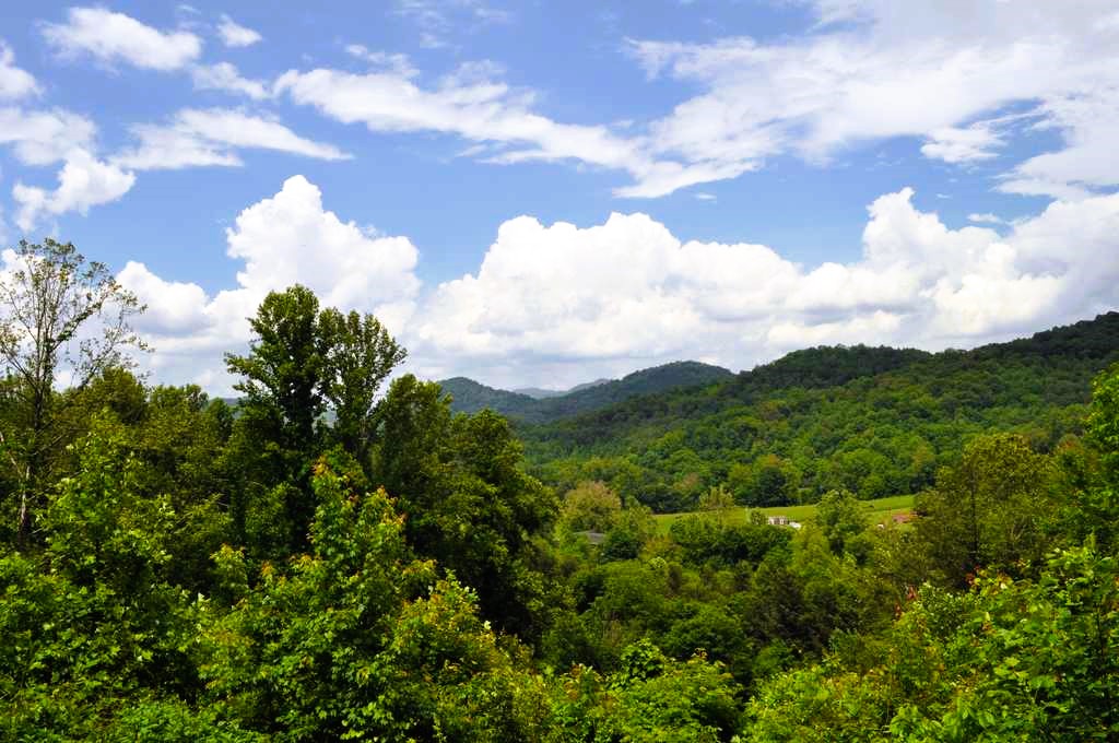 Deer Country View